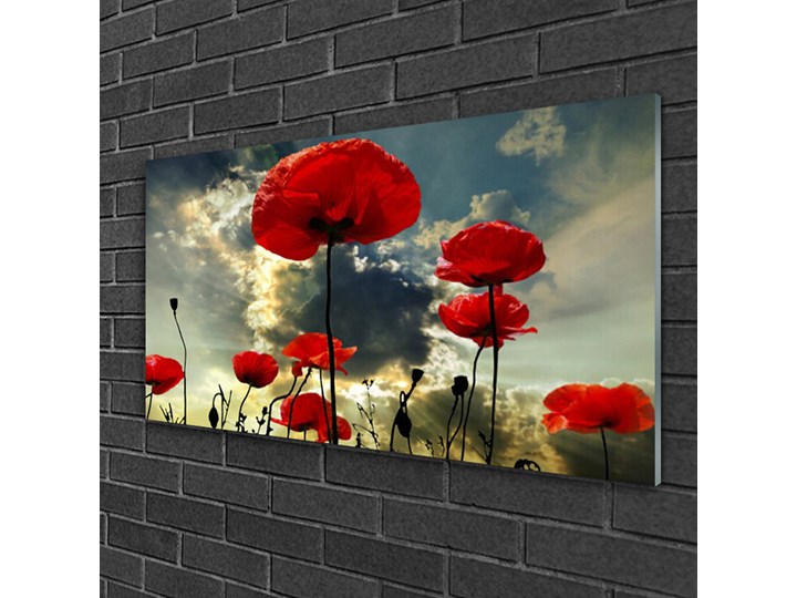 Obraz Akrylowy Maki Kwiaty Natura Roślina Wymiary 50x100 cm