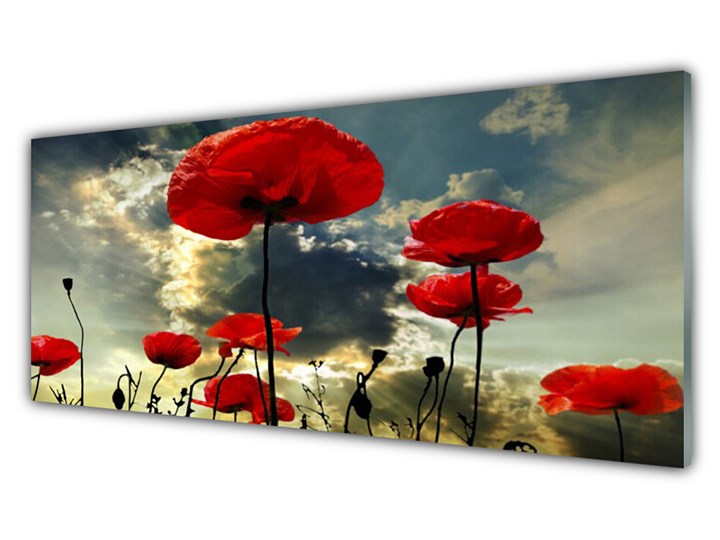 Obraz Akrylowy Maki Kwiaty Natura Roślina Kategoria Obrazy Wymiary 60x120 cm