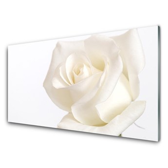Obraz Akrylowy Róża Kwiaty