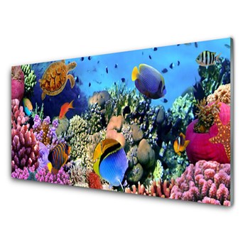 Panel Kuchenny Rafa Koralowa Natura