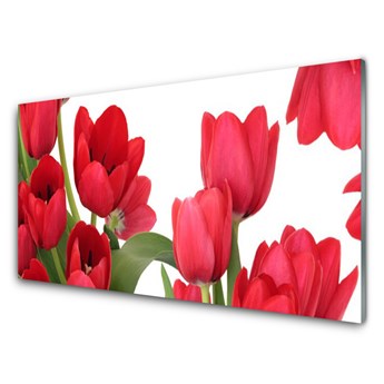 Panel Szklany Tulipany Kwiaty Roślina