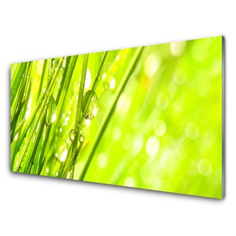 Panel Szklany Natura Krople Trawa