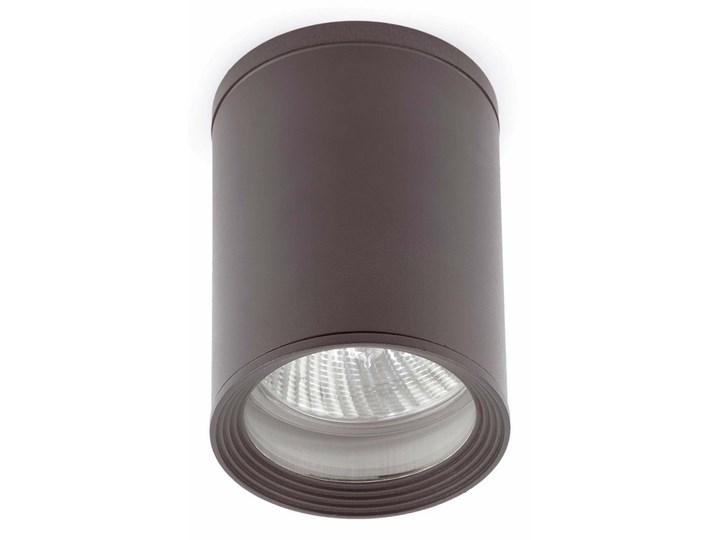 FARO 70806 - Oświetlenie zewnętrzne punktowe TASA 1xE27/75W/230V IP44 Lampa sufitowa Kategoria Lampy ogrodowe Kolor Szary